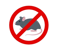 Imagem PNG, Ícone 02